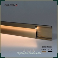 Aluminum Alloy Floor Line with Light Metal Baseboard 6cm/8cm Skirting Line