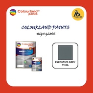 COLOURLAND PAINT 1 LITER | 5 LITER HIGH GLOSS - EXECUTIVE GREY 1104A