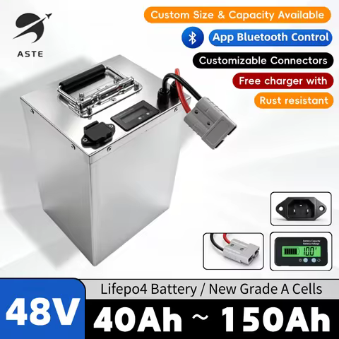 16S 48V 40Ah 50Ah 60Ah 80Ah 100Ah 120Ah 150Ah LiFePO4 Lithium Battery pack with bluetooth BMS for Ri