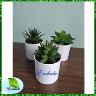 Artificial Cactus artificial Cactus Plastic Cactus Succulent Cactus Succulent Cactus Decoration
