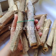 1batang tebu gajah asli akar manis kering belum cincang 150gram
