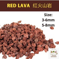 Red Lava Rock, Volcanic Stone for Cactus Succulent Aquarium Decoration PASIR MALANG 红火山岩