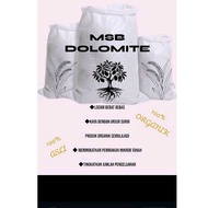 MSB DOLOMITE PERLIS.