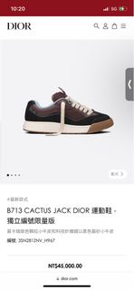 Dior cactus jack sneaker B713(Travis Scott 限量鞋)