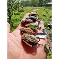 🇲🇾 2022 Amira katak new design/ soft frog 4cm 7g / katak tiruan/ lure/haruan/ toman/ handmade thaila