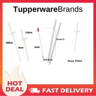 Tupperware Straw/Brush