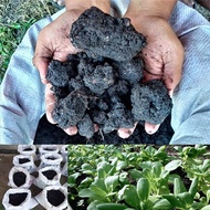 Tanah Hitam Sawit (Belum Tapis) 2kg Palm Oil Mill Effluent POME Bagus untuk Sayur, Pokok Bunga