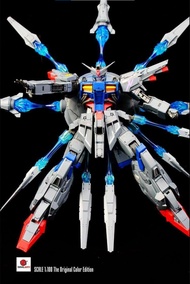 Devil Arts Providence Special Color Edition MG 1/100