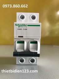 Aptomat MCB 2P Schneider 10A 16A 20A 25A 32A 40A 63A - át cài ic65N