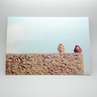 攝影明信片 | 城市小旅行 - 德國柏林-小小麻雀兒 I