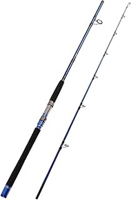 Fiblink 2-Piece Saltwater Spinning Fishing Rod Offshore Graphite Portable Fishing Rod (7-Feet) (8' H