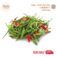 10pcs Bird’s Eye Chili/小辣椒种子/Chilli Padi [SG Vegetable Seed]