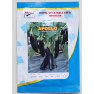 Apollo Eggplant by royal seed