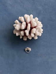 (Worn by NMIXX Haewon) Coral Ring