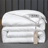 Natural Mulberry Silk Duvet Luxury Queen King Size Comforter Summer Winter Quilt Single Couple Beddi