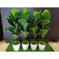 Artificial Fiddle Leaf Fig Tree 63cm