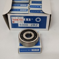 6300 BEARING (2ZR) /6300 BEARING