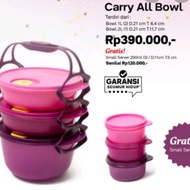 carry all bowl tupperware