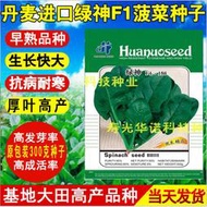 綠神F1186菠菜籽 進口大圓葉厚葉黑葉 菠菜種子 種籽蔬菜種子 種籽原裝300克hn