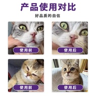 Cat Branch Nutritional Supplement Lysine Oral Liquid for Cats Lysine Supplement Lysine Oral Liquid 3