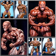 Phil Heath Bodybuilder Mr Olympia Champion Fitness Vintage Poster No Frame Canvas Painting Bedroom G