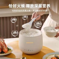 Non-Stick Small Rice Cooker Multifunctional Electric Rice Cooker Rice Cooker Single Electric Caldron Household Rice Cook