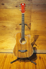 Techno T6600EQ2 38" Acoustic Electric Guitar, Zebra Wood