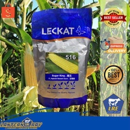 Benih Jagung LECKAT 516 (Jagung Manis)