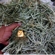 Ready Stock Timothy Premium Crispy Timothy Grass Timothy Hay Rabbit Food 500gr PREMIUM SOFT TIMOTHY 