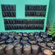 BARU Planter bag dinding 16 kantong