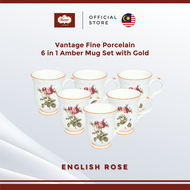 Vantage Fine Porcelain English Rose (F4) 6pcs Amber Mug Set With Gold Lining