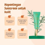 SACHA SUNSCREEN by sacha