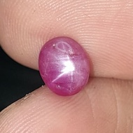 Ruby Star Dimnatural: 7 x 5.6 x 3.3 mm 1.5Ct Birma Color Oval Cabochon Original Code A650
