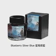 皮爾卡登 Pierre Cardin 水果閃粉系列墨水 - 藍莓銀藍 30ML