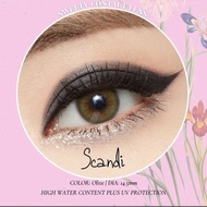 SCANDI OLIVE Power 0~1000 Contact Lens 14.2mm