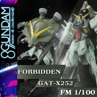 FM 1/100 Forbidden Fighter Assembly Model