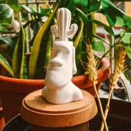 摩艾仙人掌盆栽擴香石