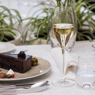 【RONA】斯洛伐克 SWAN 天鵝系列-香檳杯 320ml