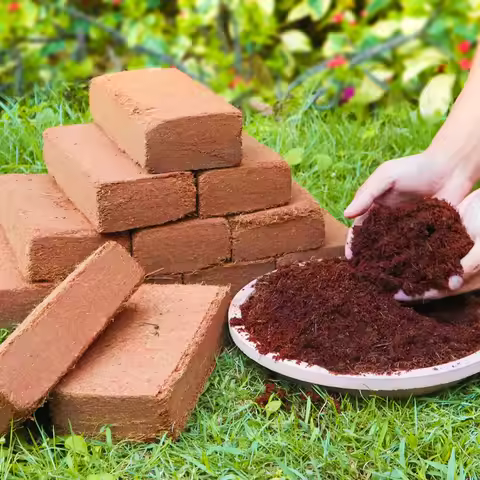 12pcs Coco Coir Brick for Plants- Premium 100% Organic Peat Moss, Fiber Coconut Husk for Planting, G