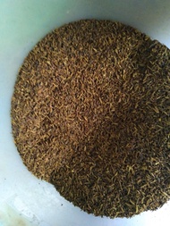 ( COD ) cengkeh manado 100 gram / cengkeh wangi / cengkeh berkualitas