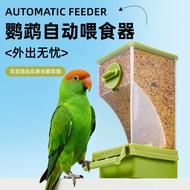 Penghidup burung nuri automatik dengan pemisah sekam, penghidup gantung anti tumpah untuk burung bud