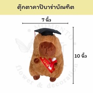 Capybara Doll Wear A Graduate Uniform Size 7x10 Inches. Cute Gift And Have Meaning