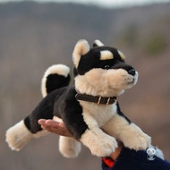 Cute Animal Dolls Soft Akita Dog Life