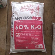 PROMO- PUPUK KCL K2O MEROKE 50 KG PUPUK TANAMAN TETAP JAYA -NAJENDRASTORE7