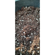 Tanah Campuran Sabut Kelapa + Tanah Organik + Perlite untuk pokok hiasan dan bonsai (1KG*)