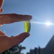 Moldavite Raw Crystal Natural Green Tektite Meteorite Stone From Czech Unique Specimen