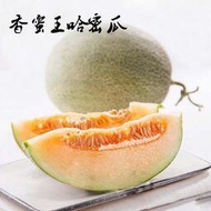 香蜜王蜜瓜哈密瓜種子 種籽甜瓜新疆網紋瓜水果種子 種籽高糖多汁春季四季播