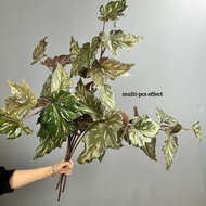 Artificial Begonia Maculata, Faux Begonia Leaves, Decorative Foliage Plant, Summer & Autumn Decorati