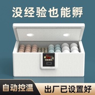 Small Small Water Bed Automatic Incubator Smart Egg Incubator Incubator Ludding Chicken Household Ch