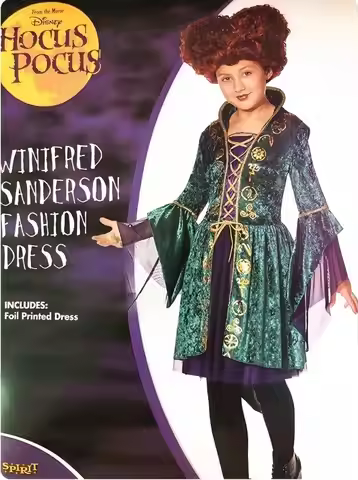 Hocus Pocus Winifred Witch Costume Dress for Halloween, Party & Stage Performance Medieval Court Gow